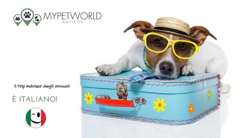 MyPetWorld, il TripAdvisor degli animali è italiano - SocialWebMax