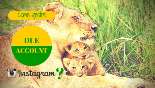 Come gestire 2 account Instagram - SocialWebMax